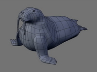 Bild "Arbeiten:walross_02_tn.jpg"