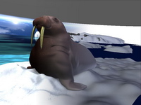 Bild "Arbeiten:walross_03_tn.jpg"