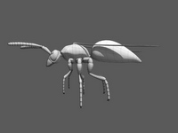 Bild "Arbeiten:wespe_07_tn.jpg"